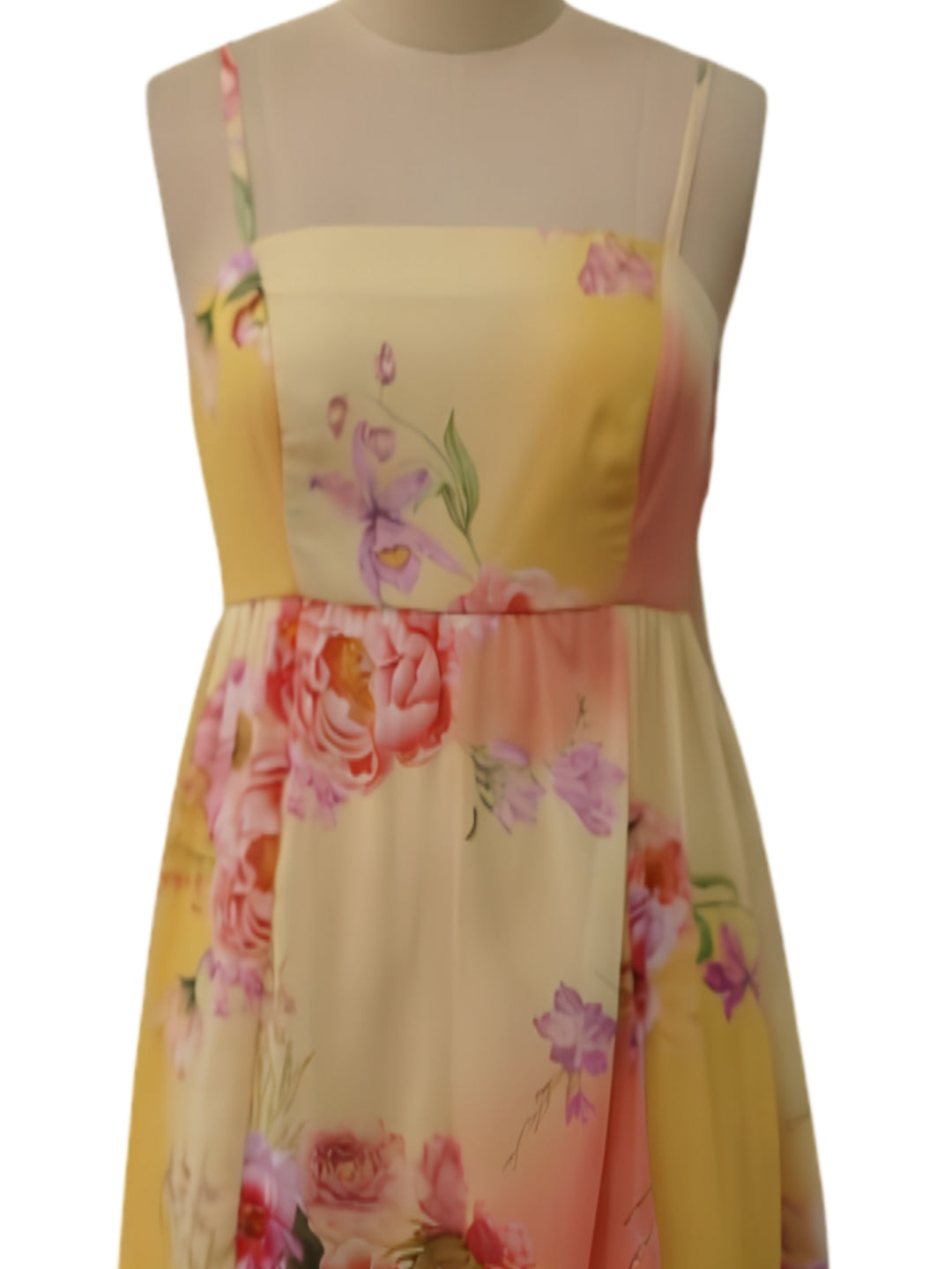 Multi Floral Sleeveless Square Neck Fit And Flare Maxi Dress