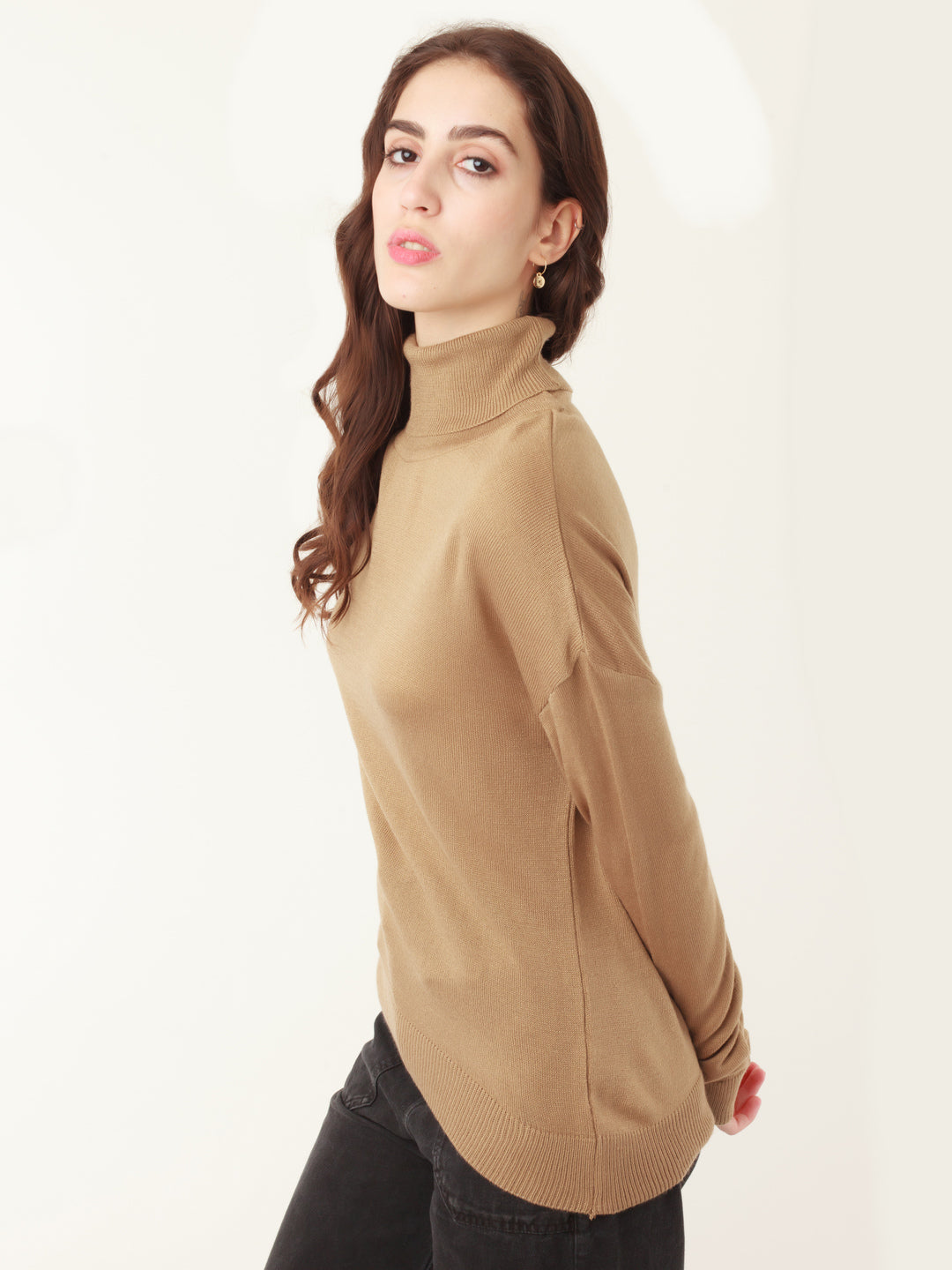 Tan Solid Sweater