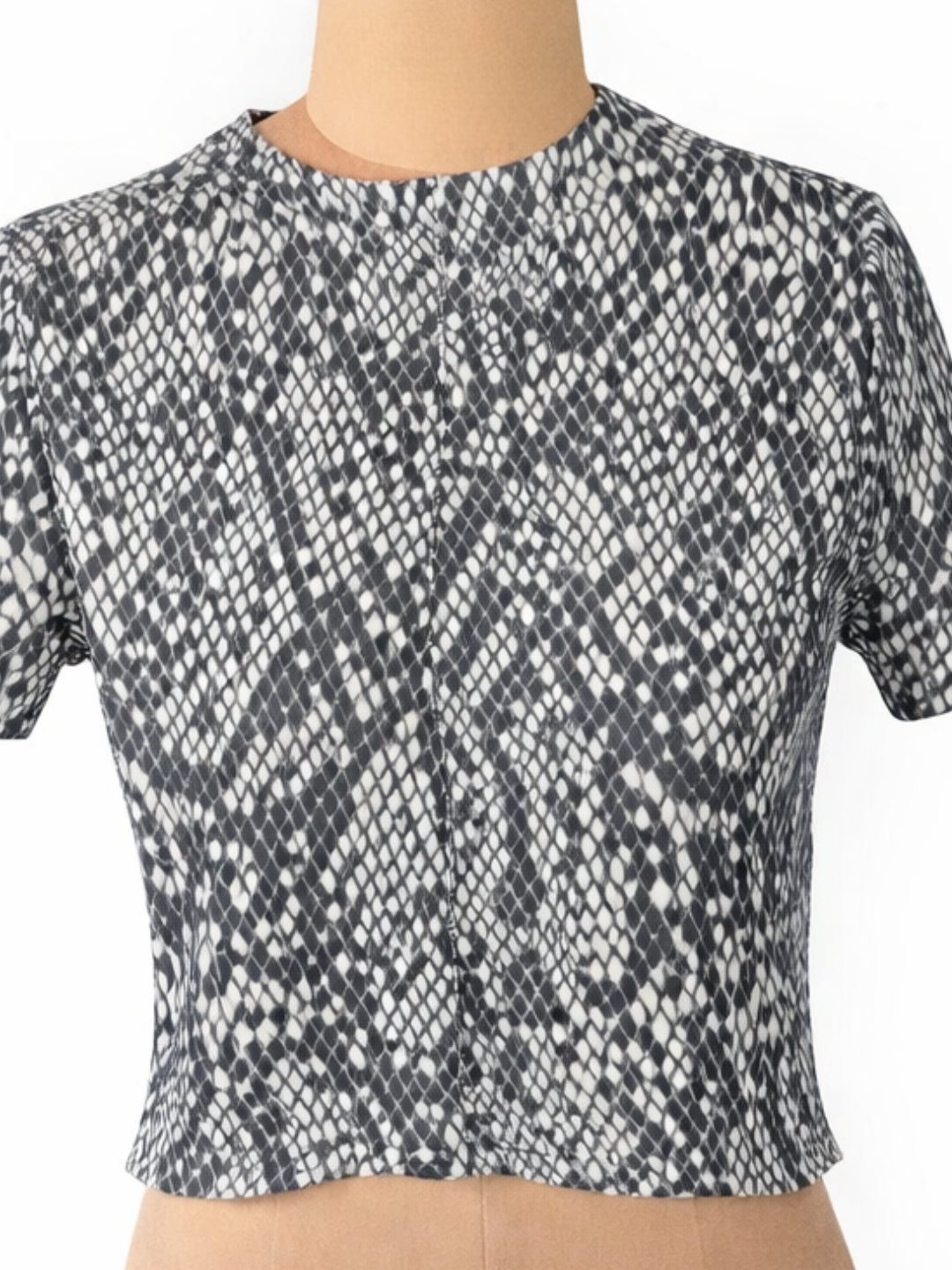 TOP00326-A03_5